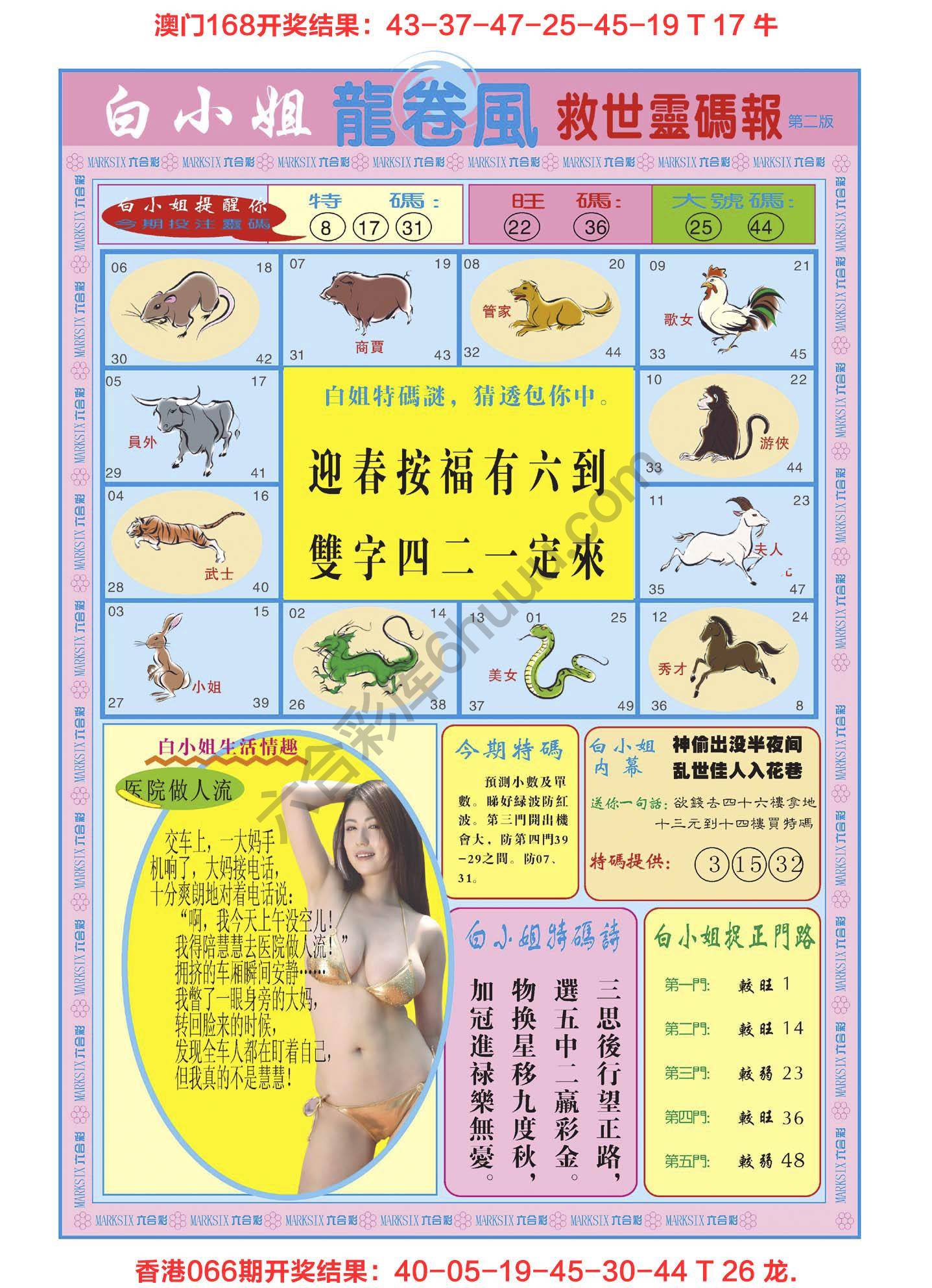 白小姐救世灵码报