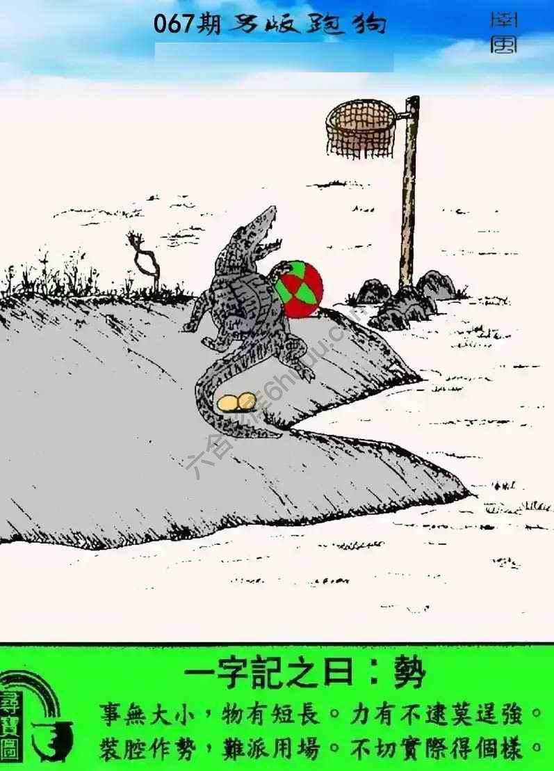 另版跑狗