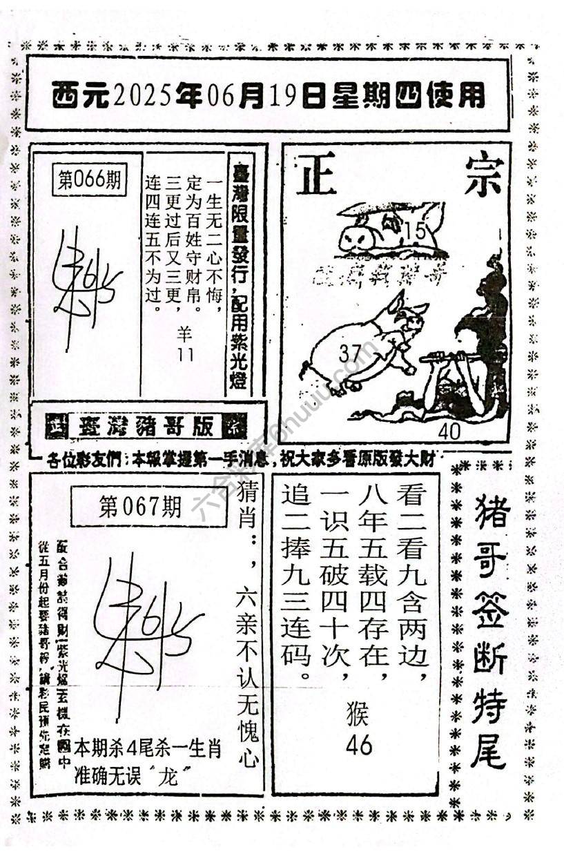 猪哥签断特尾