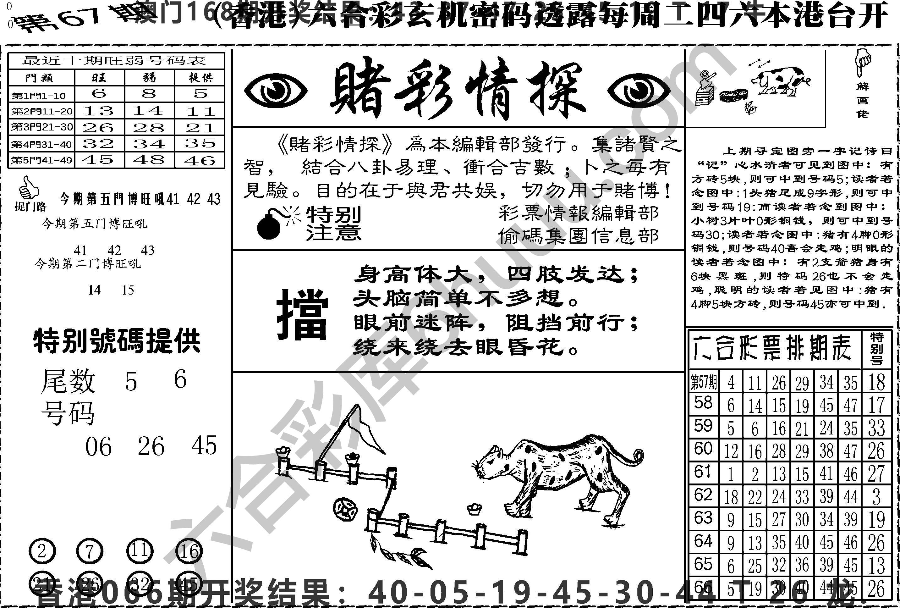 赌彩情探