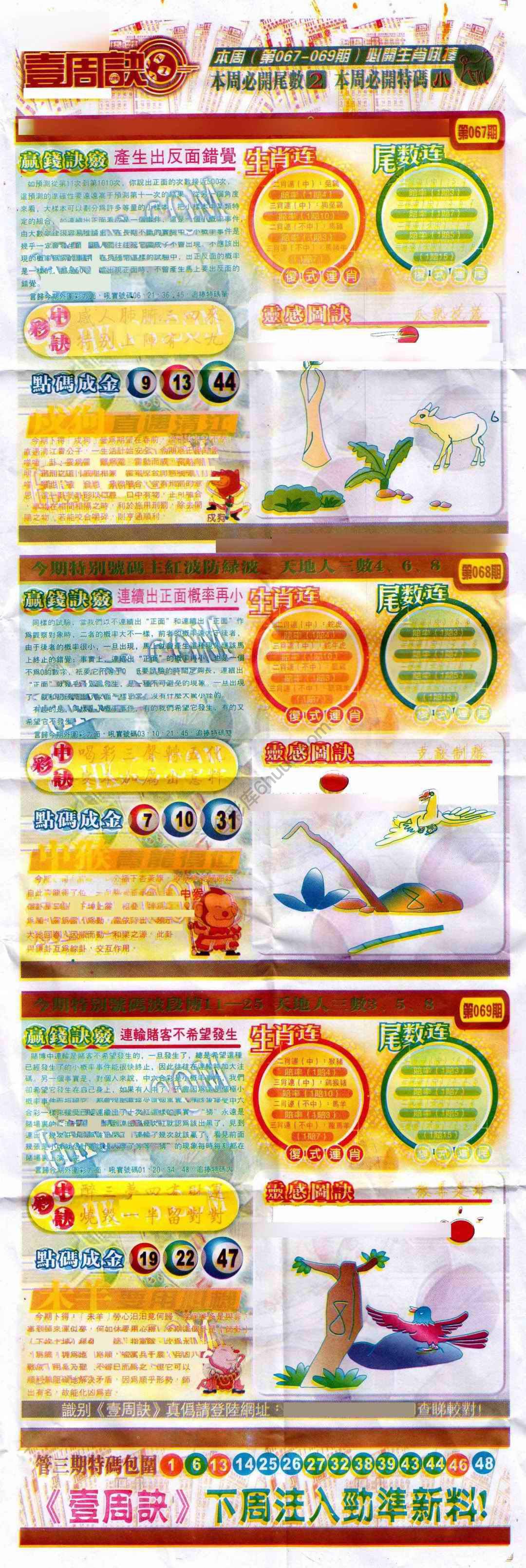 一周决