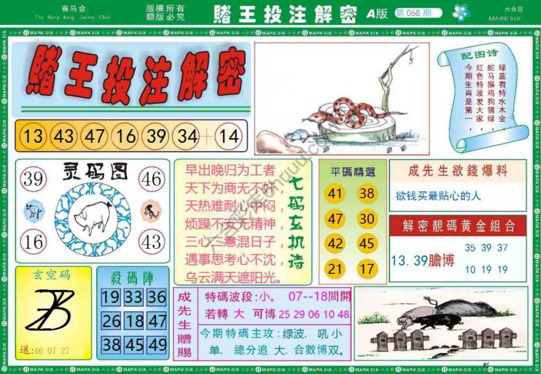 赌王投注解密