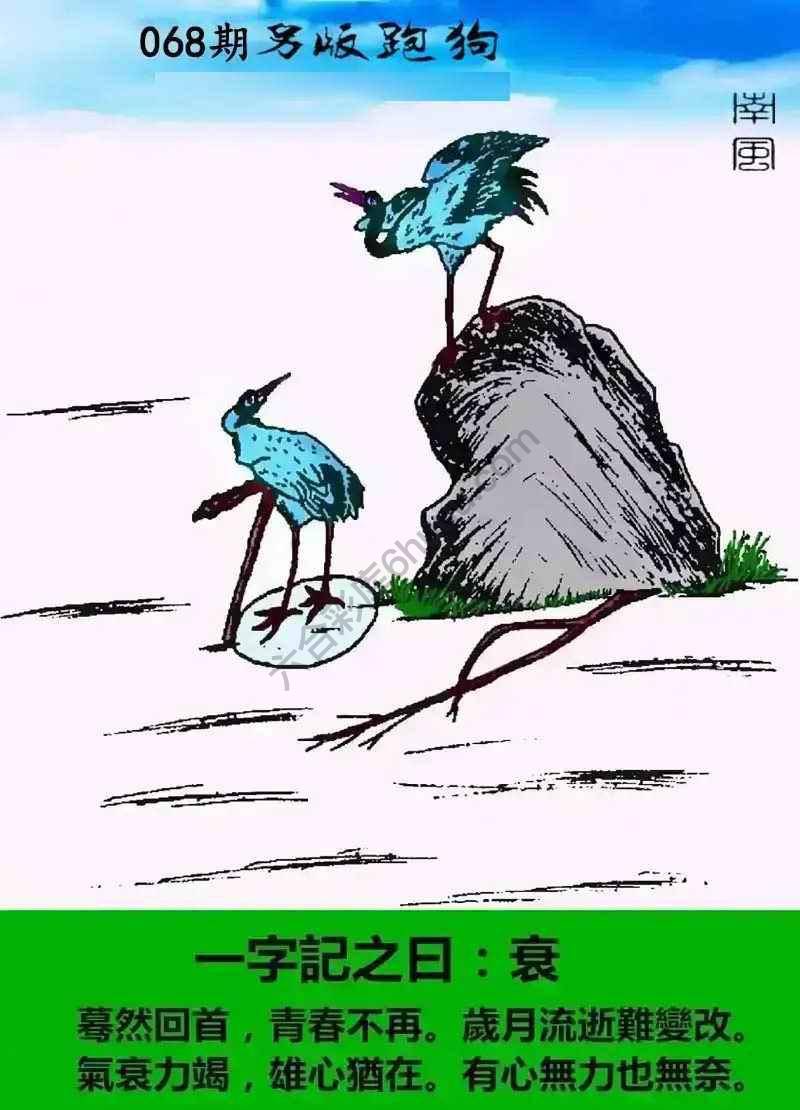 另版跑狗