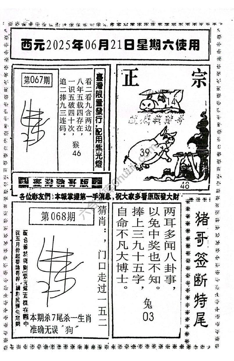 猪哥签断特尾