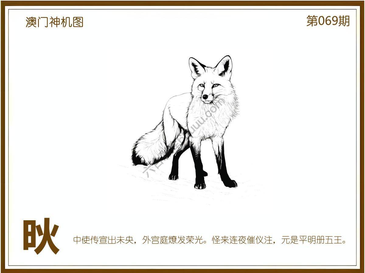 澳门神机图
