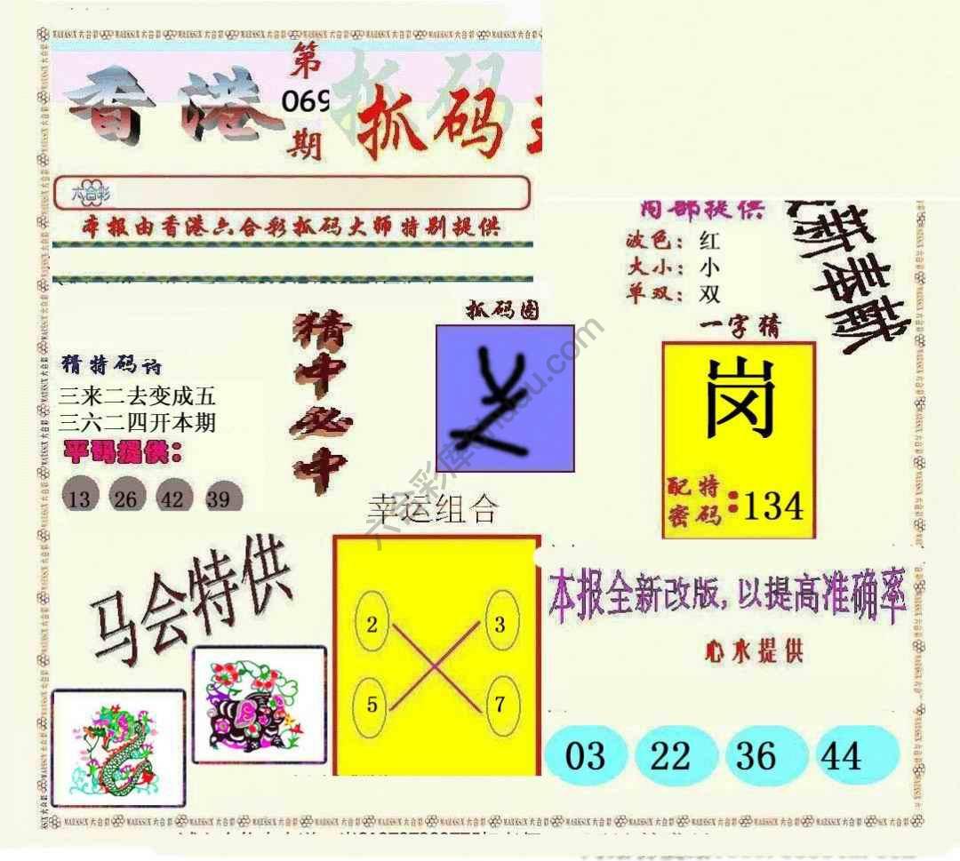 新抓码王