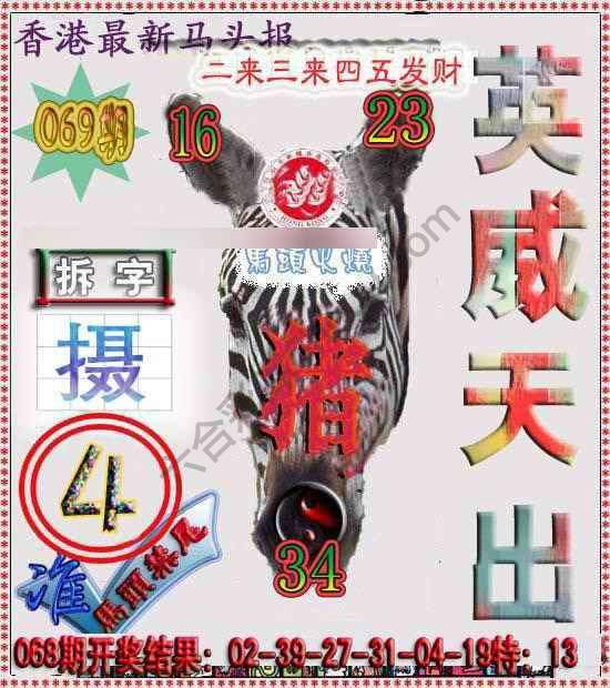香港马头报