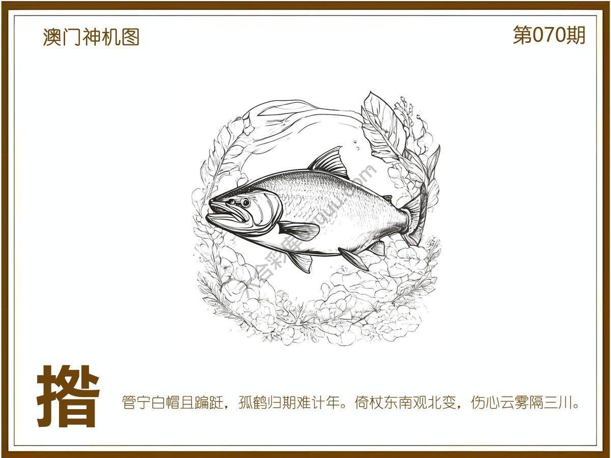 澳门神机图