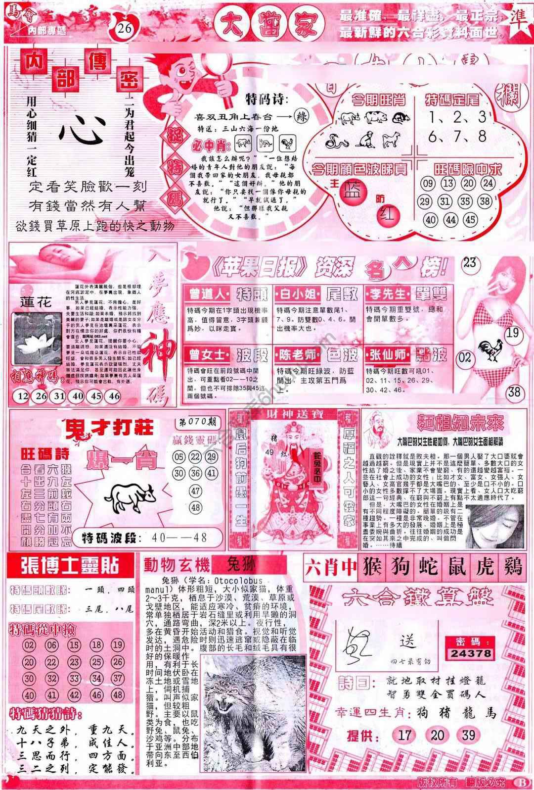 大当家