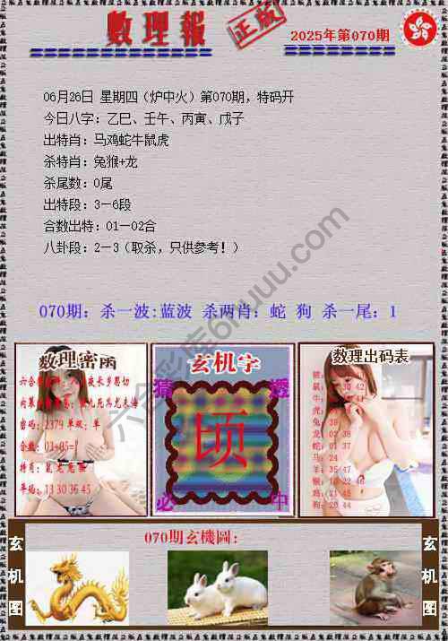 数理报