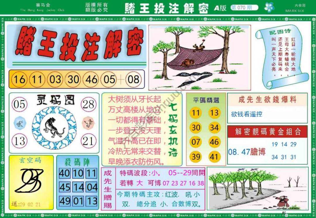 赌王投注解密