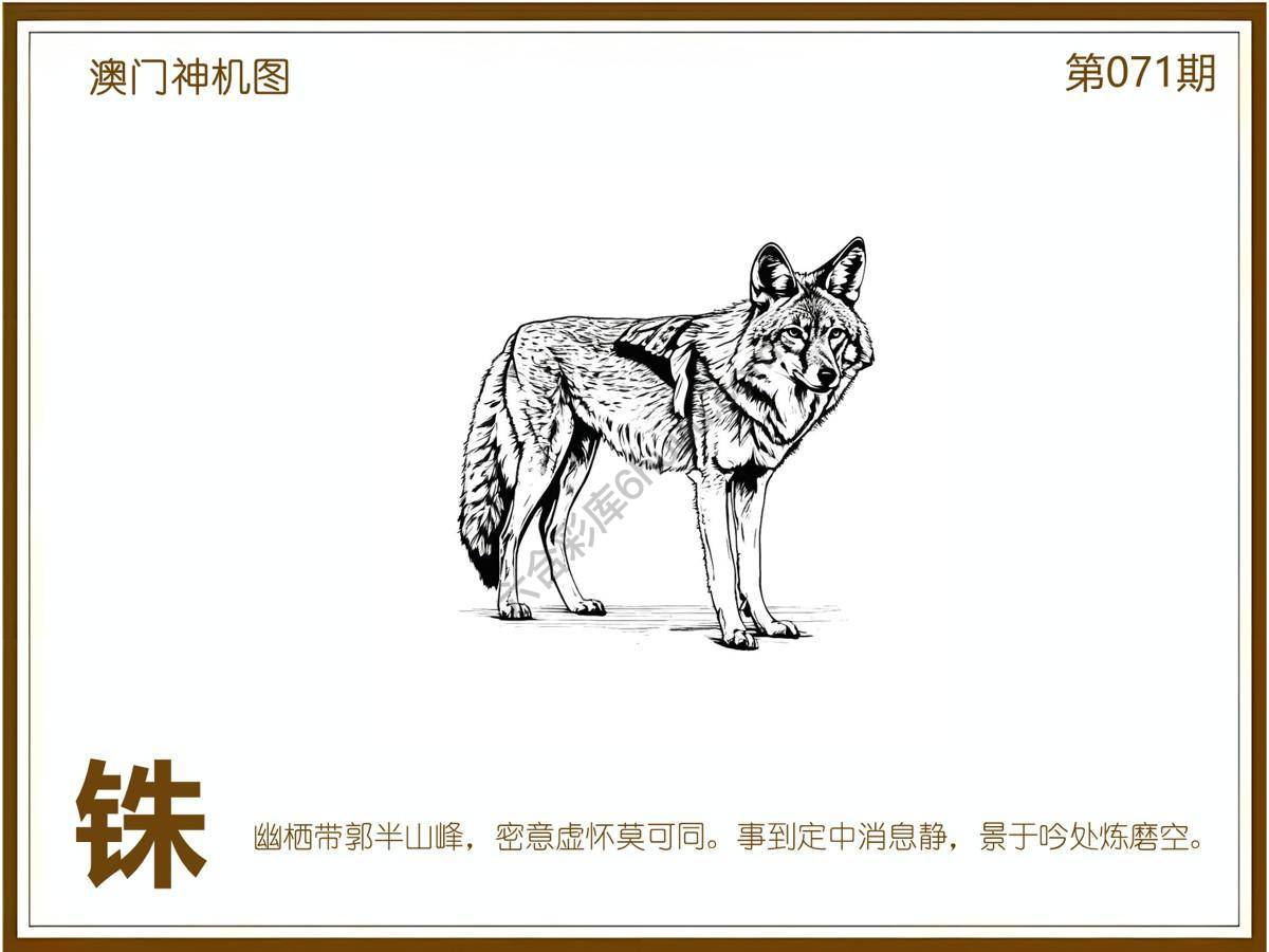 澳门神机图