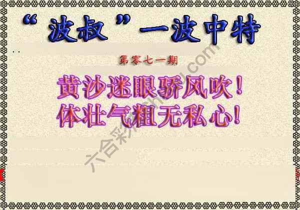 波叔一波中特