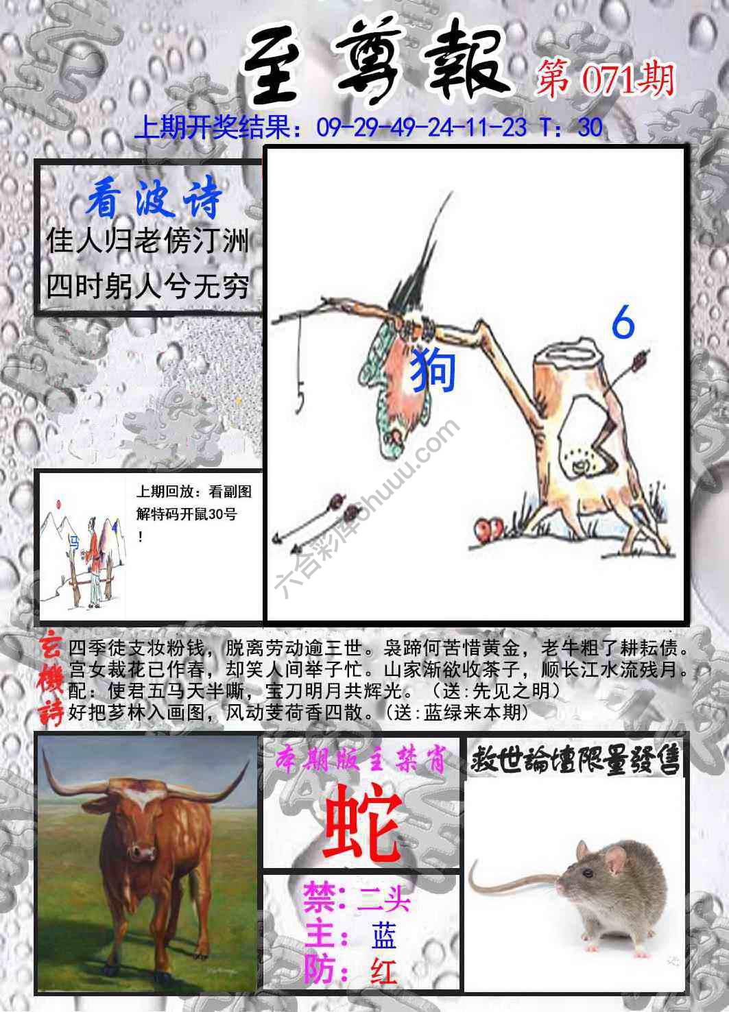 至尊报