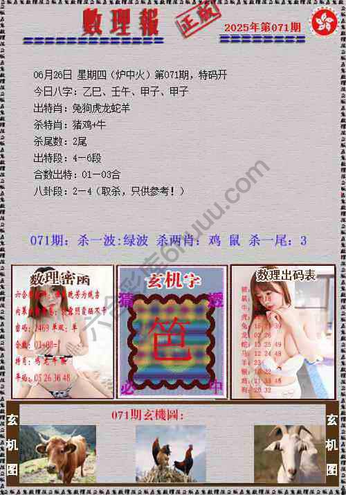 数理报