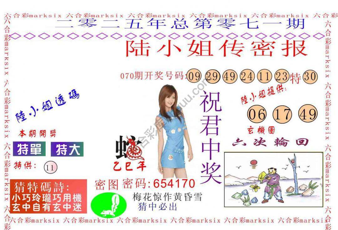 陆小姐传密
