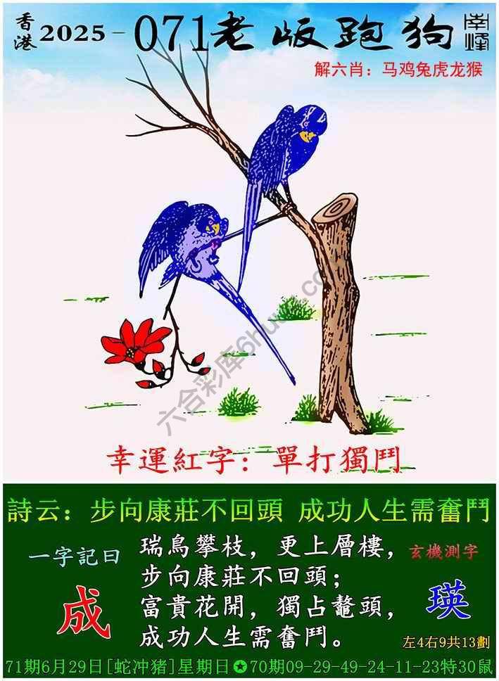 老版跑狗图