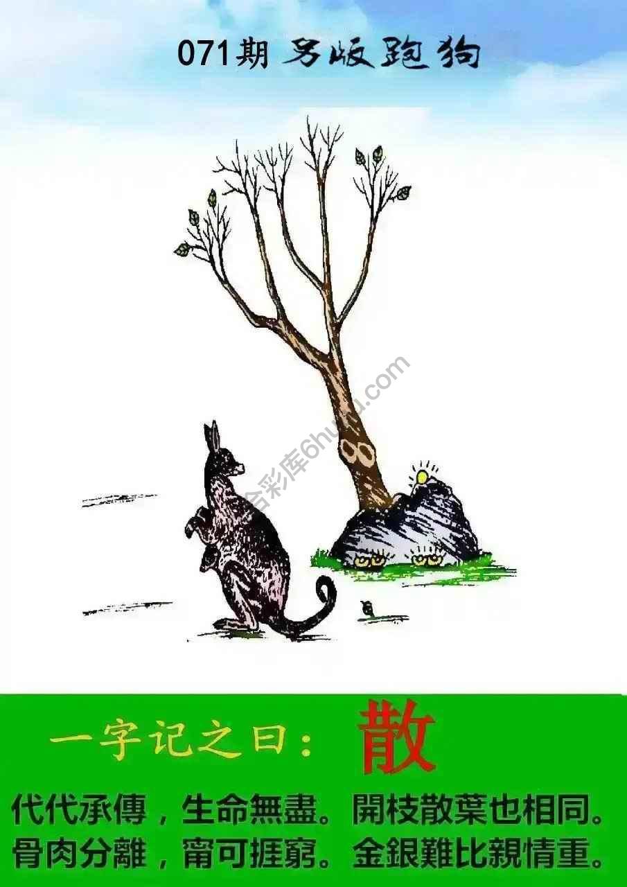 另版跑狗
