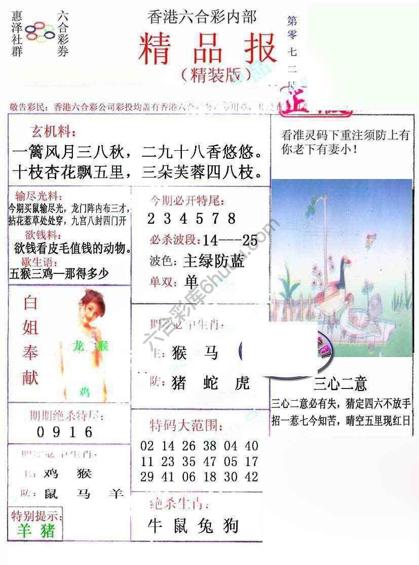 新精品报