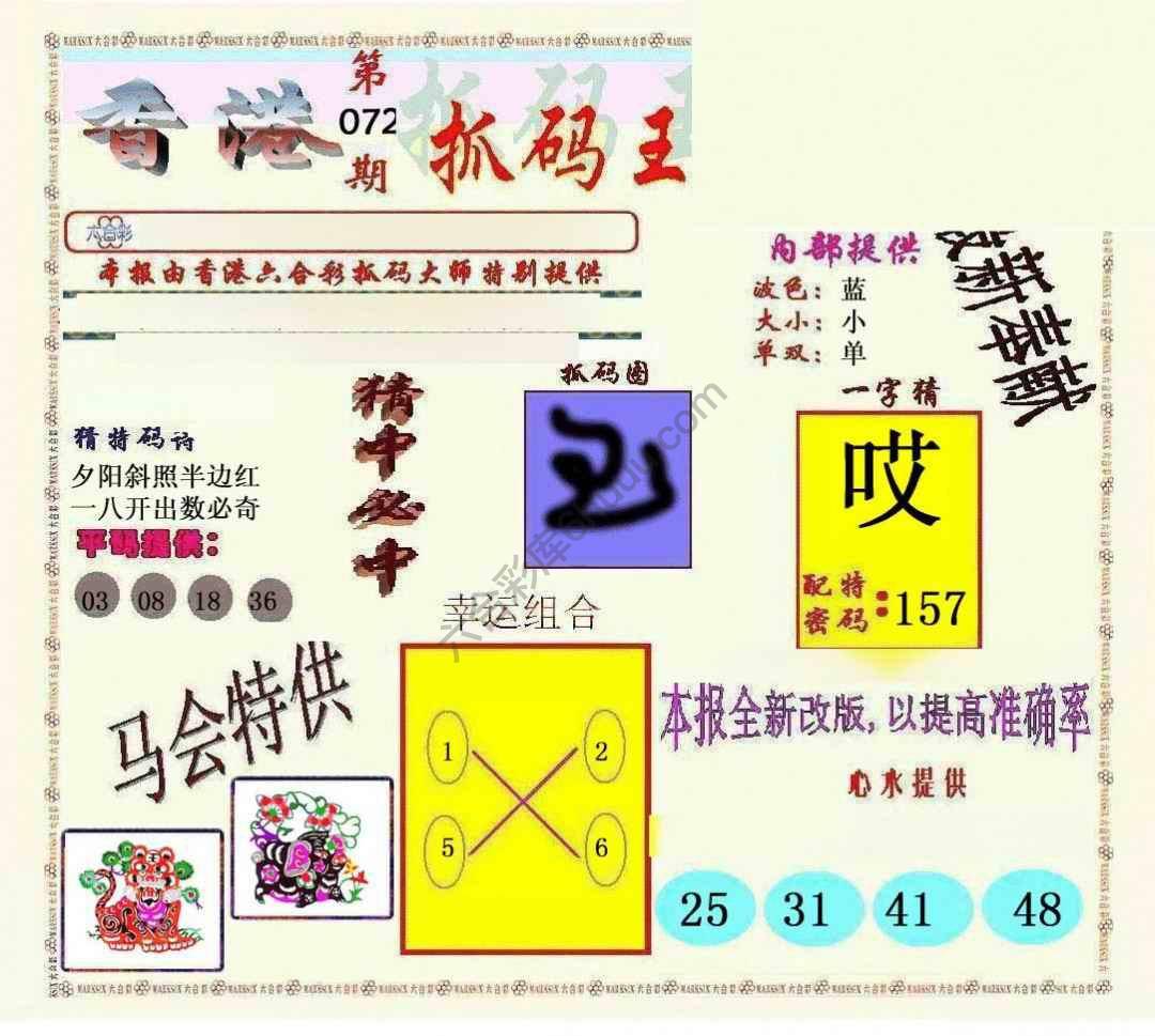 新抓码王