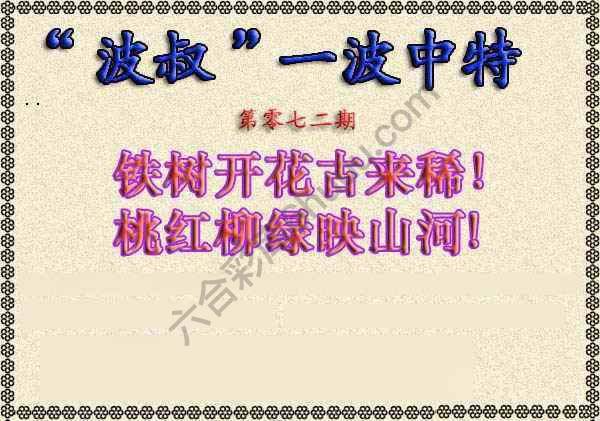 波叔一波中特