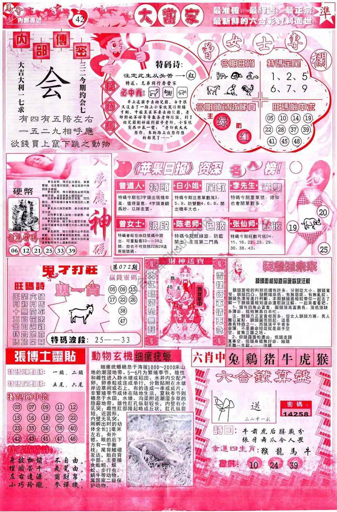 大当家