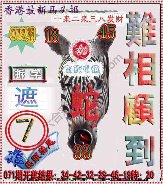 香港马头报