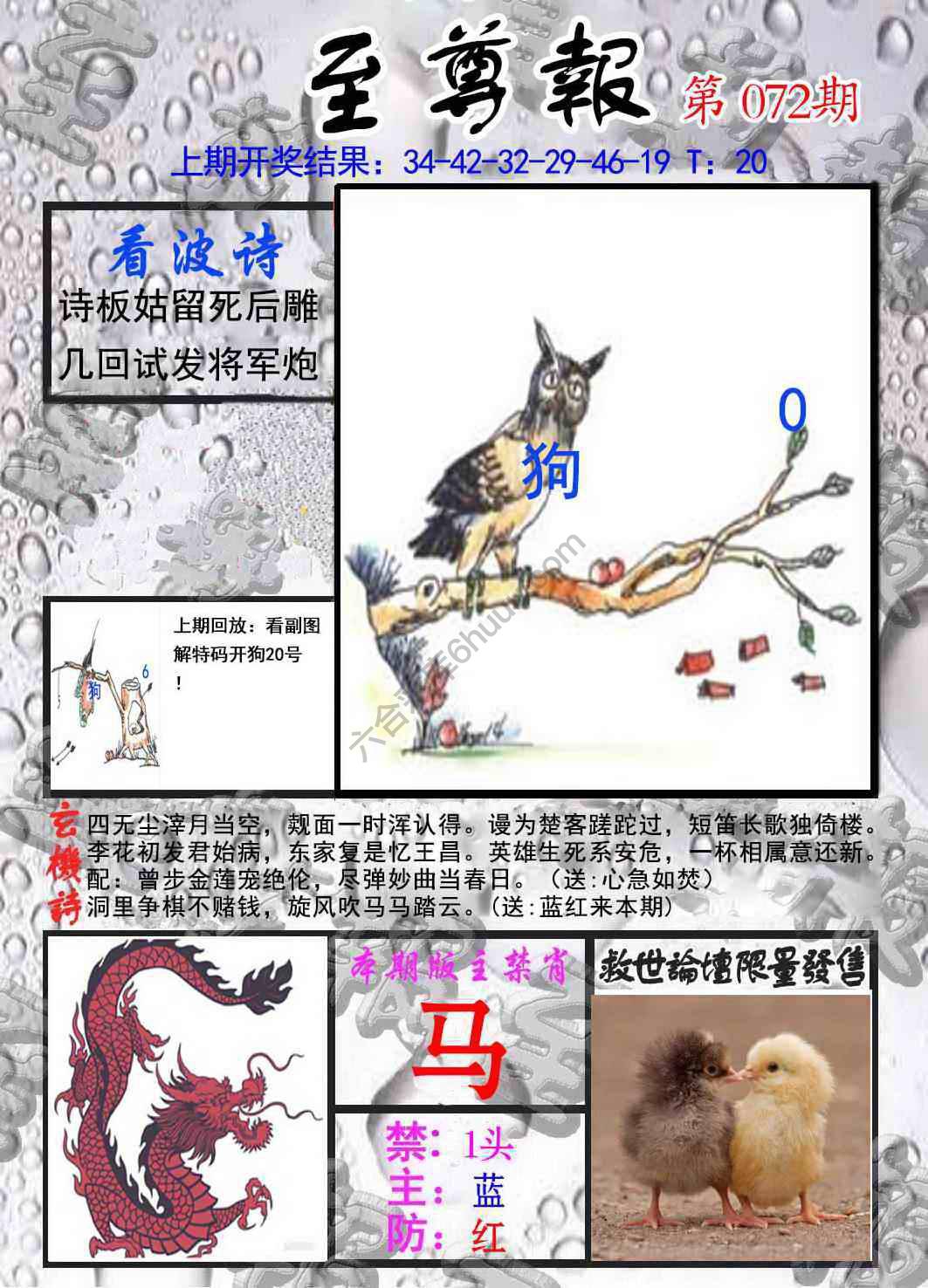 至尊报