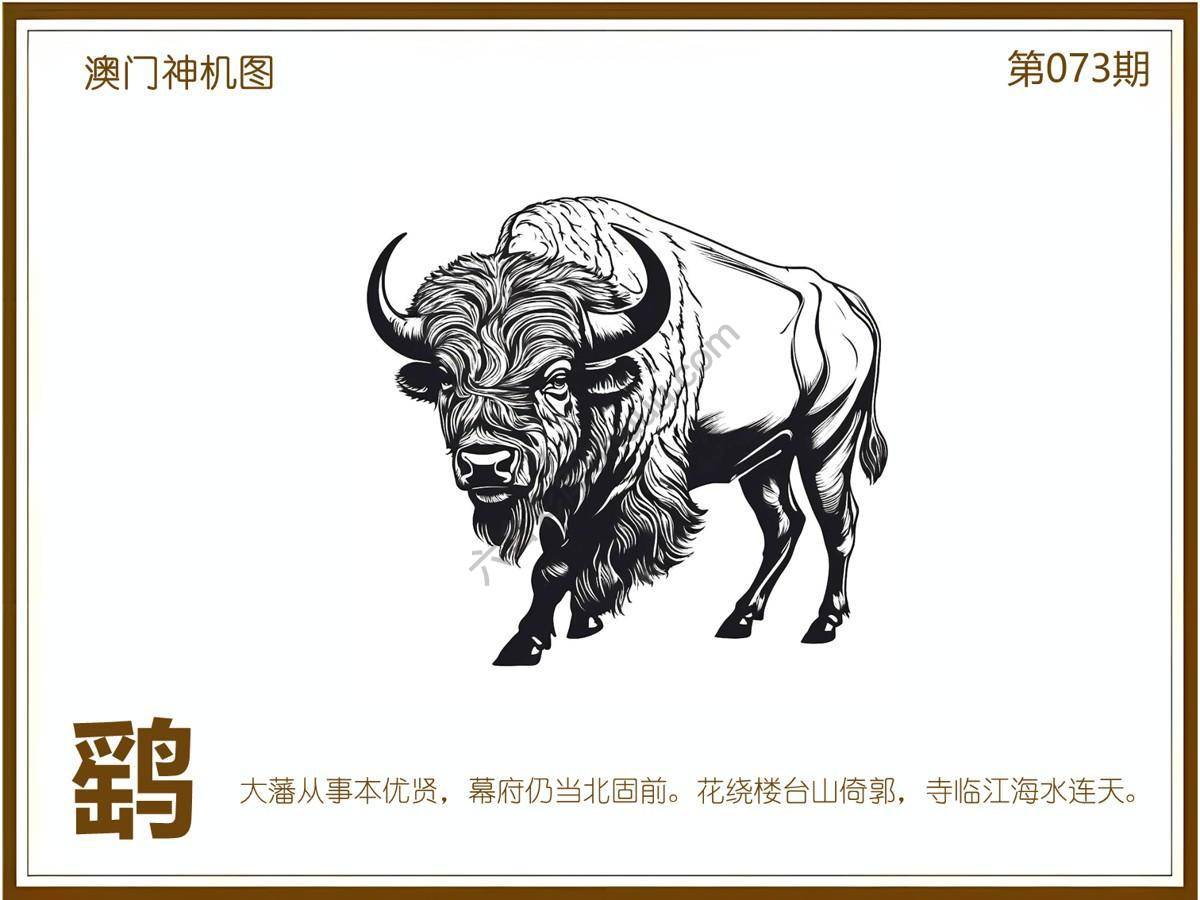 澳门神机图