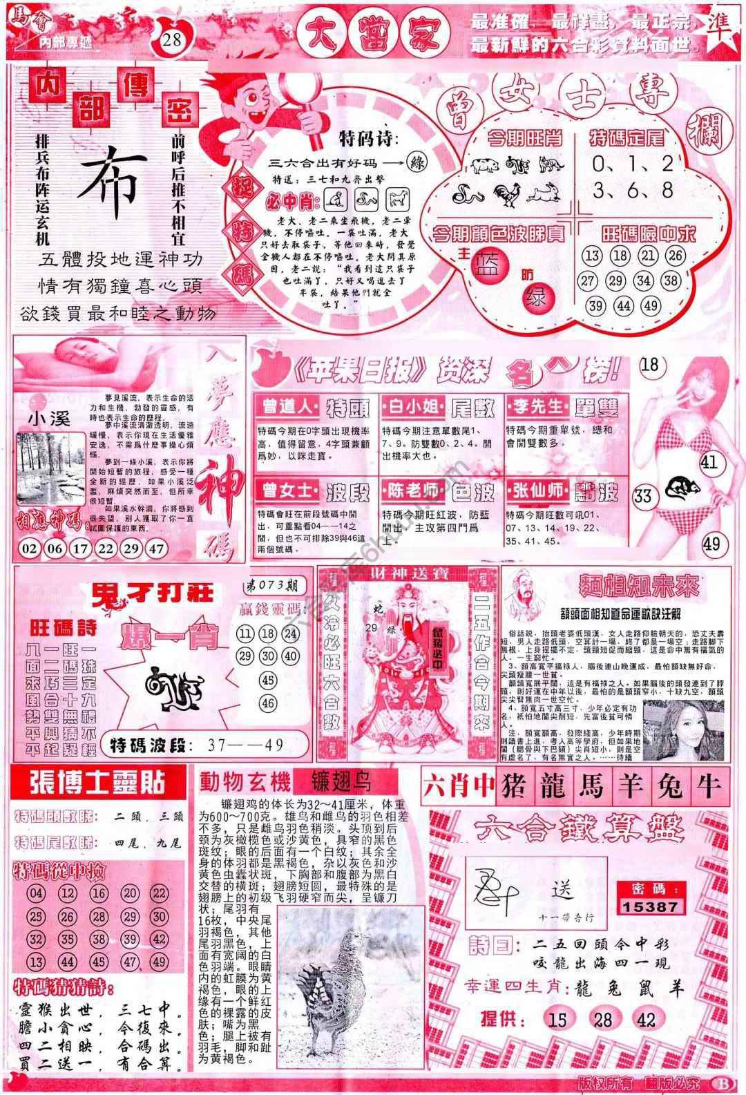 大当家