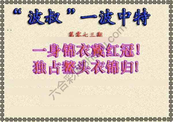 波叔一波中特