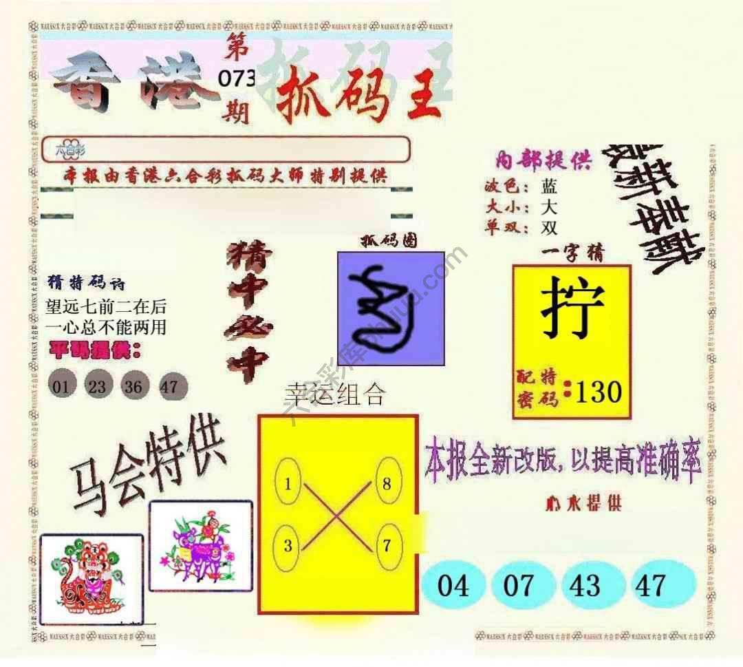新抓码王