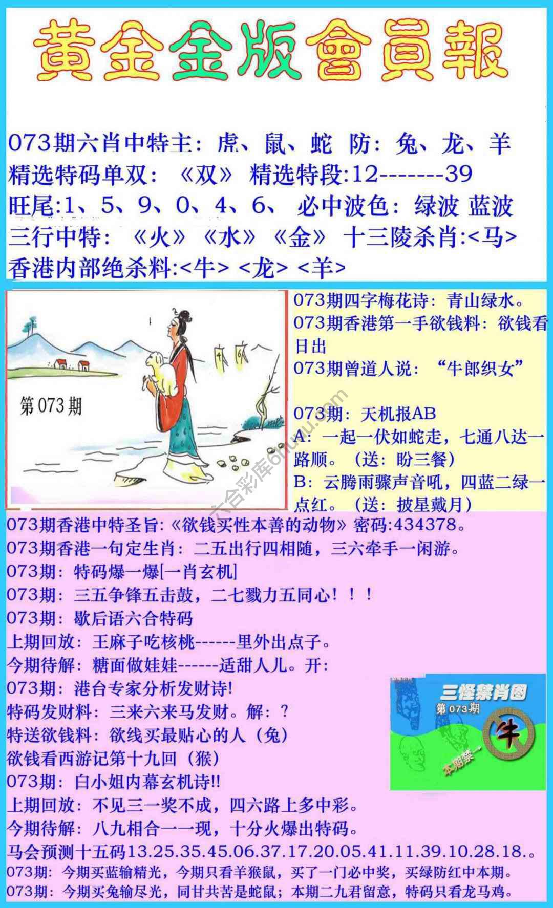 黄金金版会员报