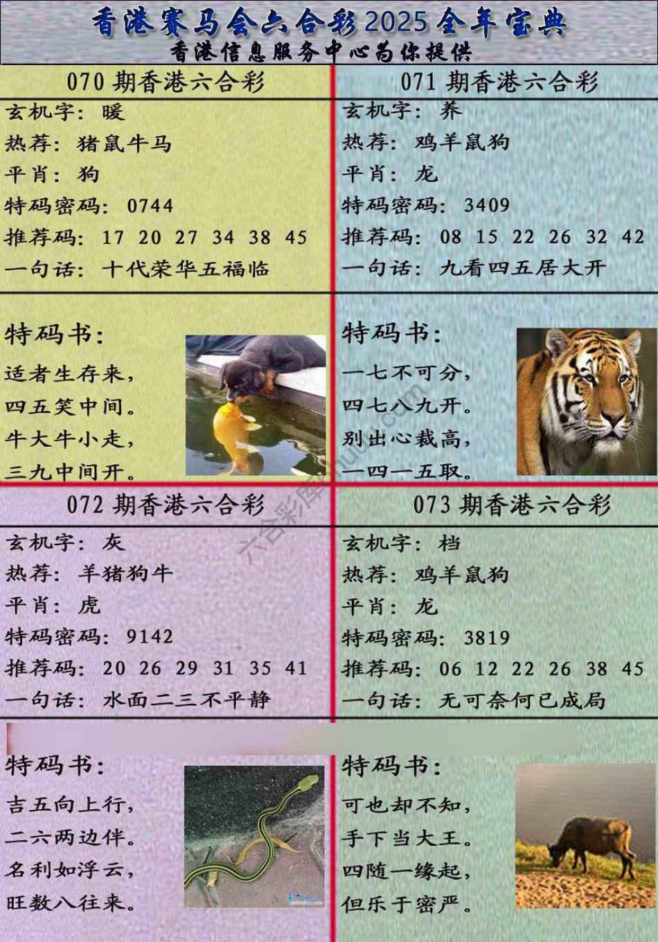 宝典报