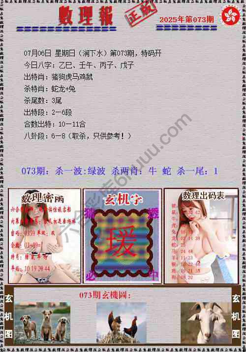 数理报