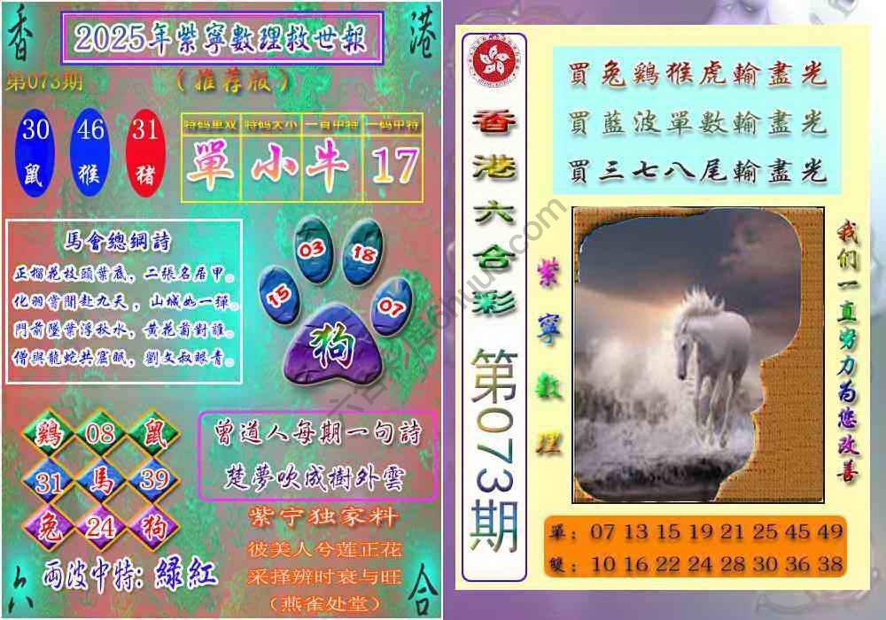 数理救世报