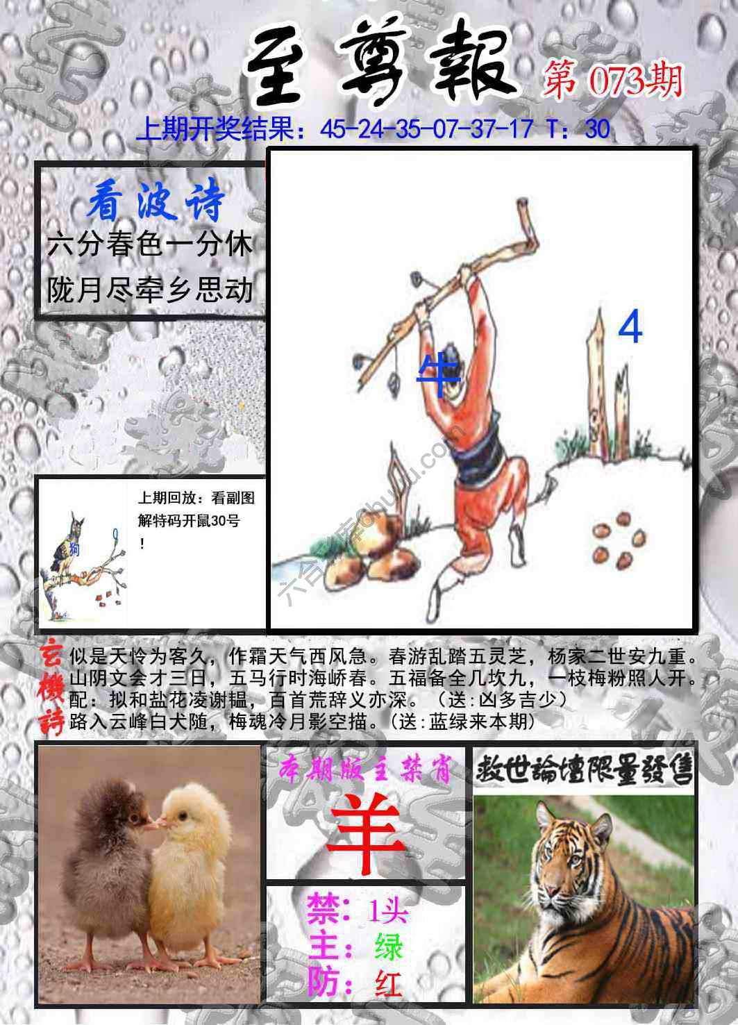 至尊报
