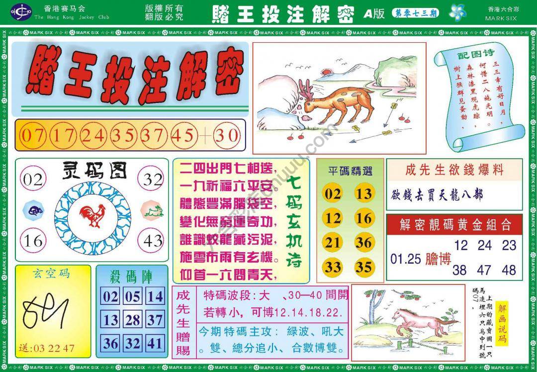 赌王投注解密