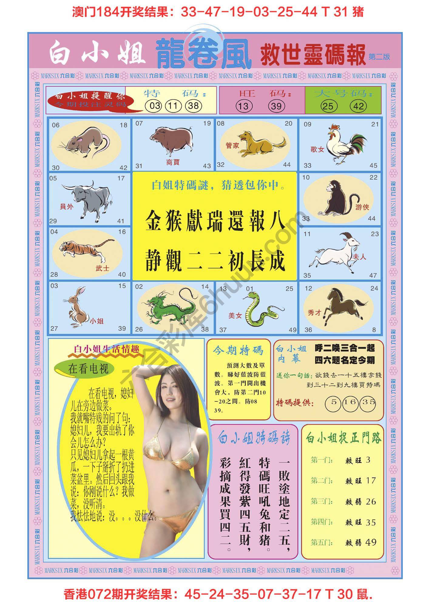 白小姐救世灵码报