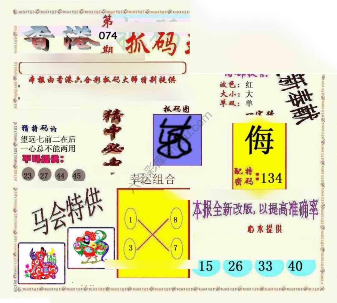新抓码王