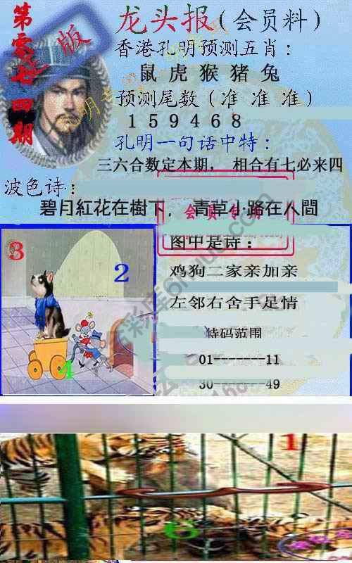 龙头报
