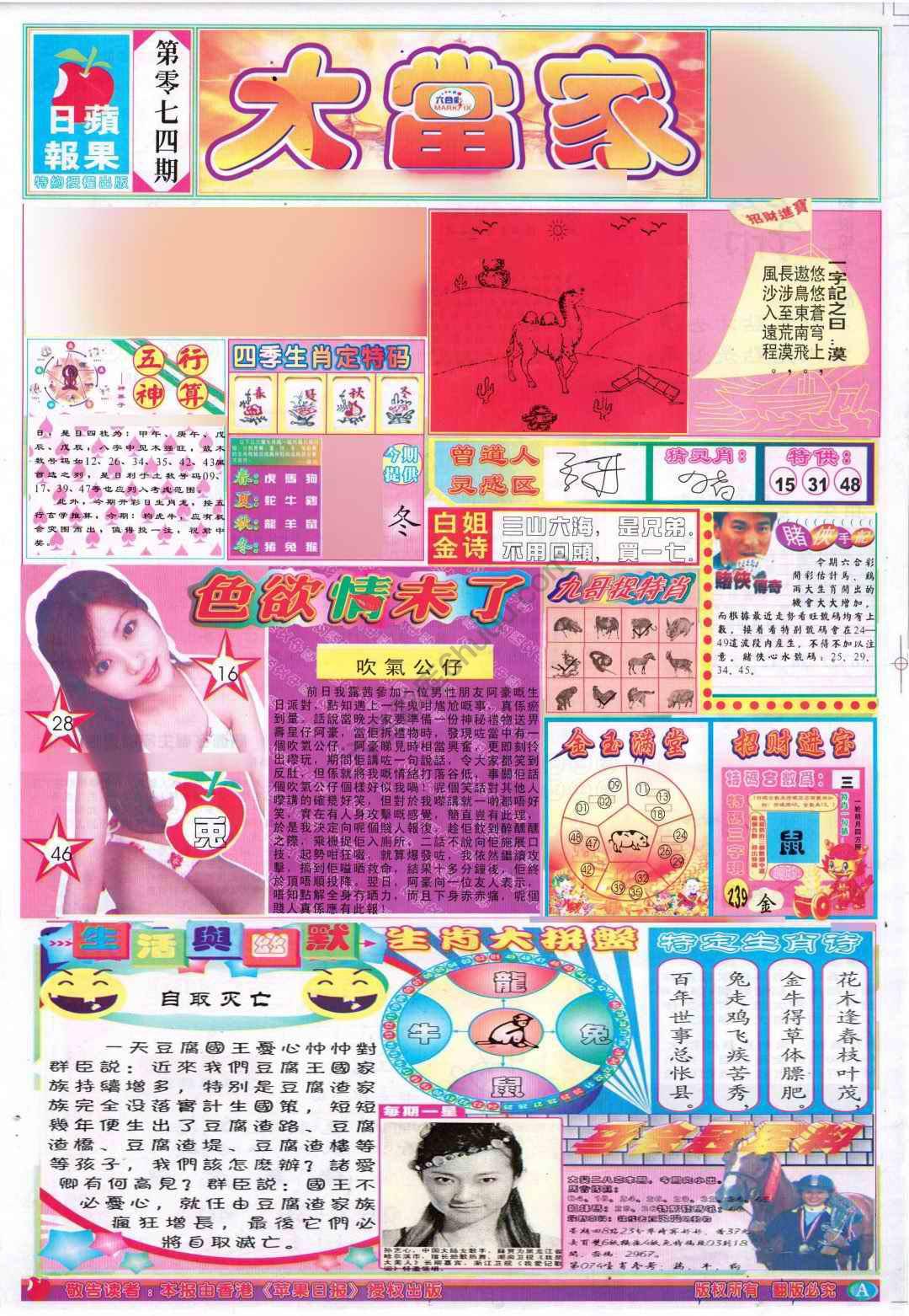 大当家