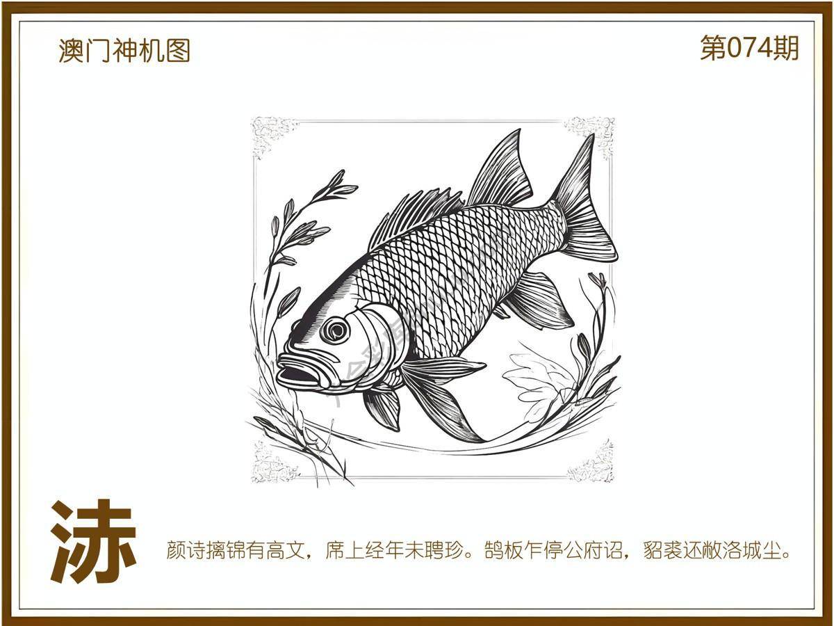 澳门神机图