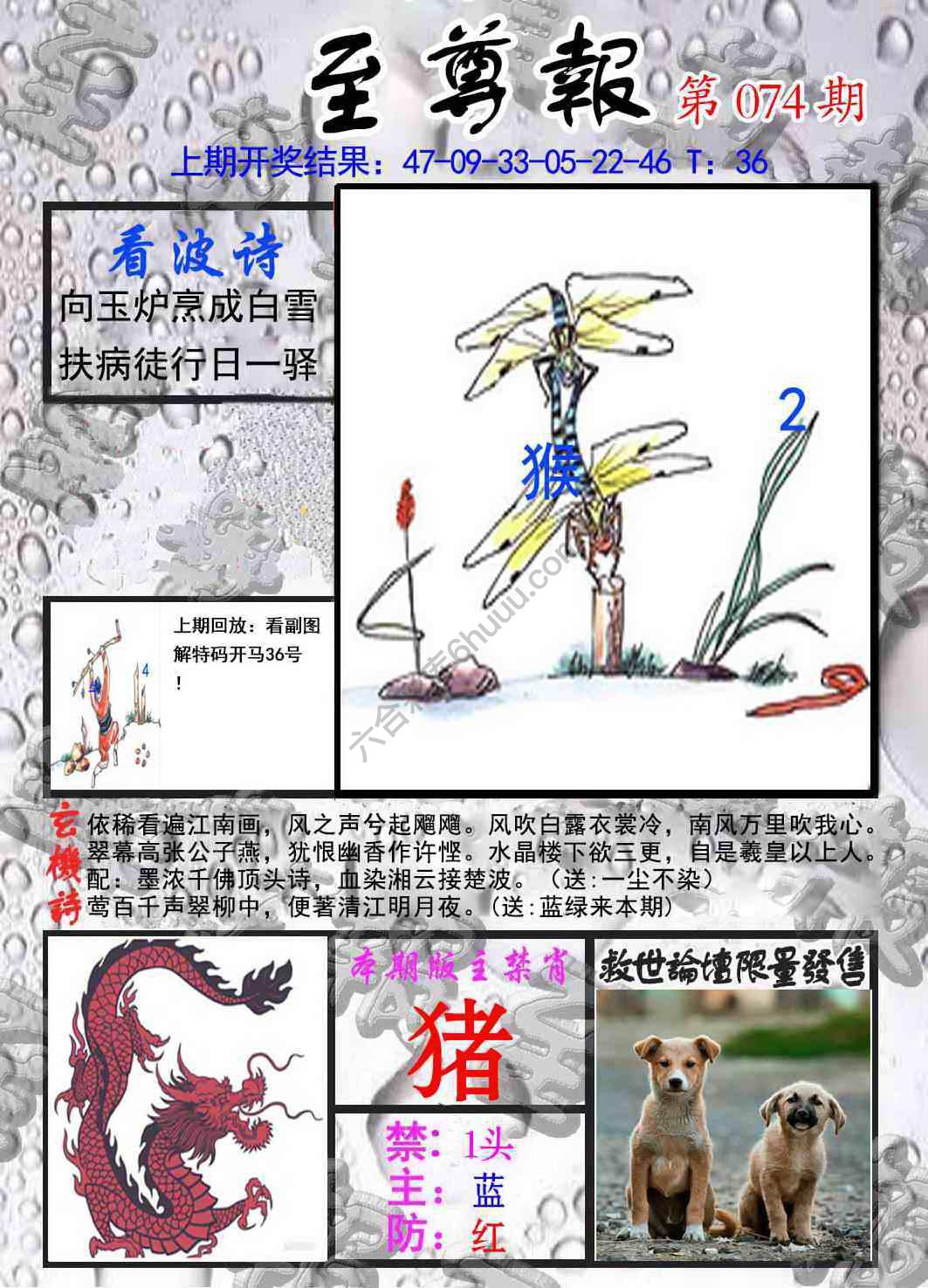 至尊报
