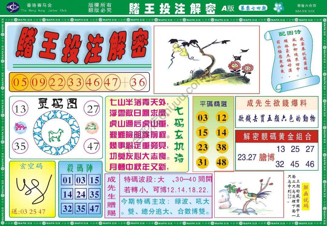 赌王投注解密