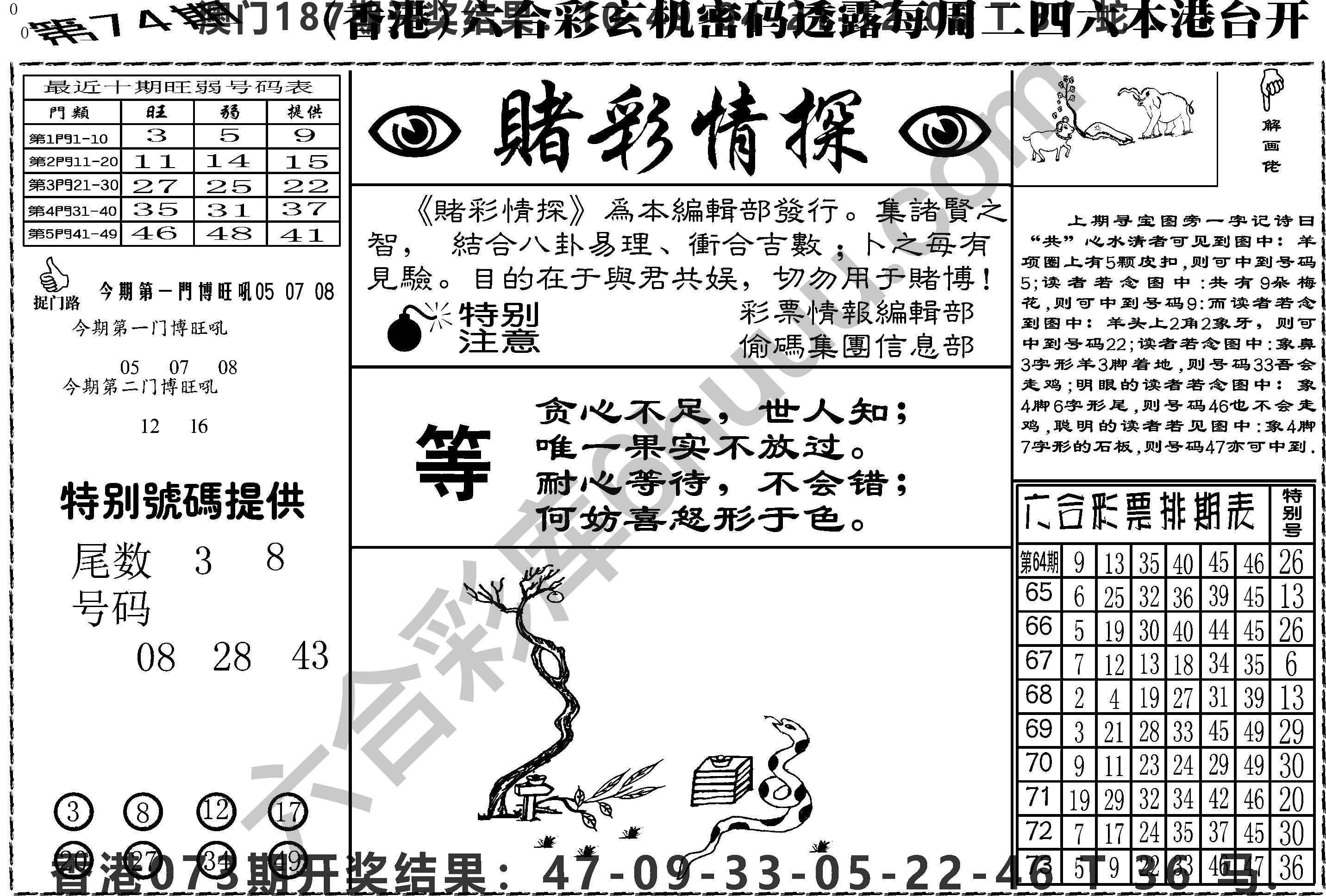 赌彩情探