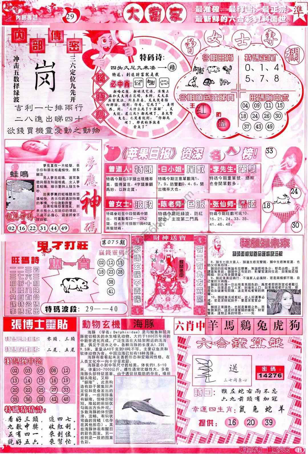 大当家