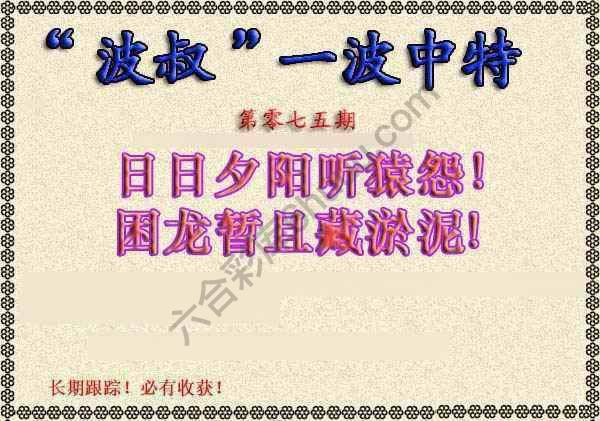 波叔一波中特
