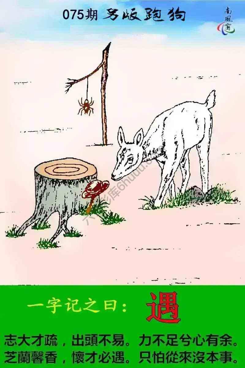 另版跑狗
