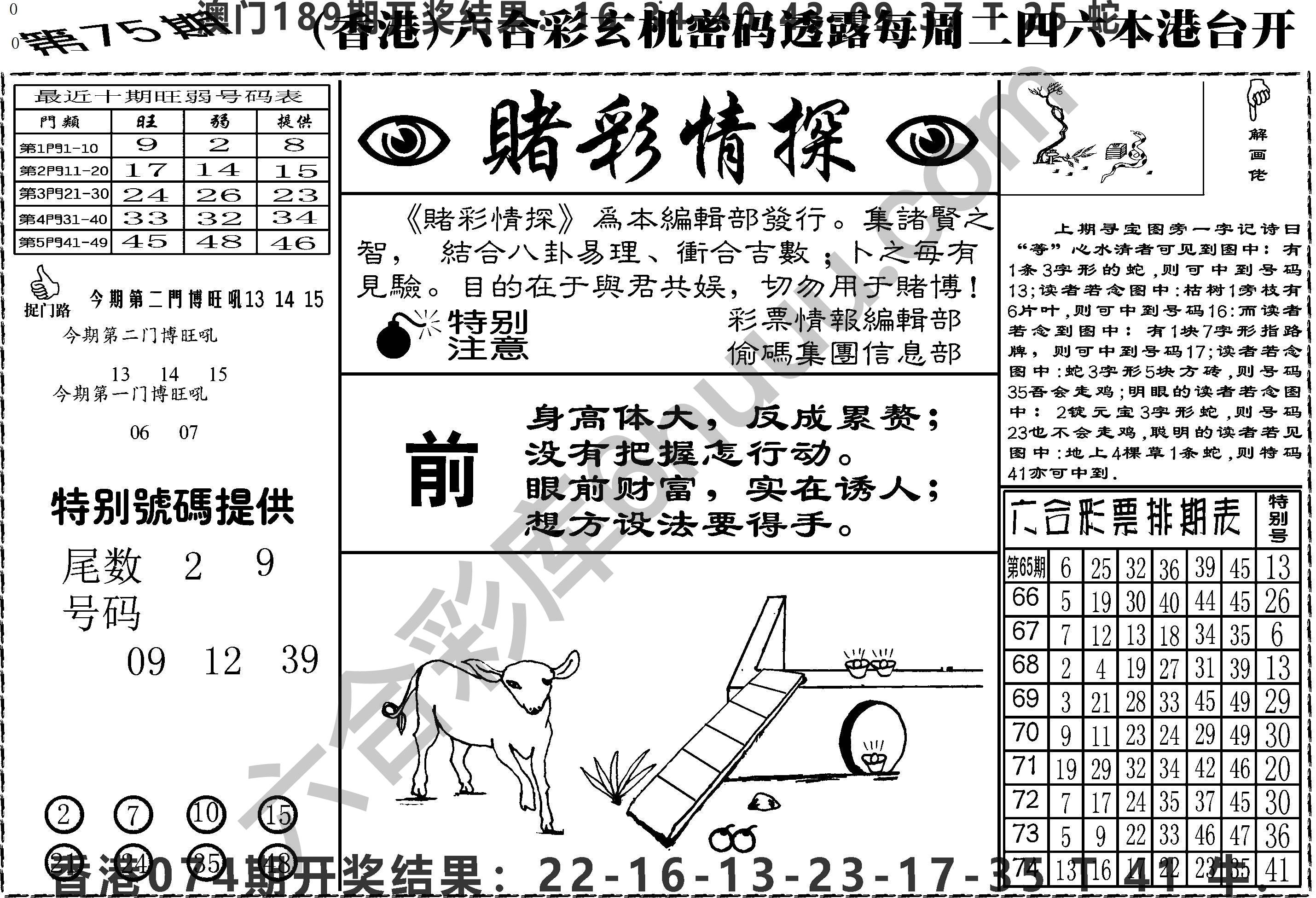 赌彩情探